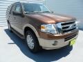 2012 Golden Bronze Metallic Ford Expedition XLT  photo #1