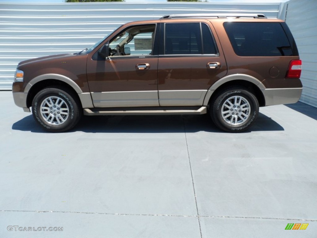 Golden Bronze Metallic 2012 Ford Expedition XLT Exterior Photo #66996928