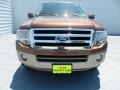 Golden Bronze Metallic - Expedition XLT Photo No. 7