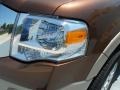 Golden Bronze Metallic - Expedition XLT Photo No. 8