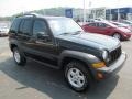 Black Clearcoat - Liberty Sport 4x4 Photo No. 1