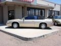 Shale Metallic - Eldorado Touring Coupe Photo No. 8