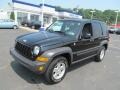 Black Clearcoat - Liberty Sport 4x4 Photo No. 5