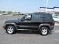 Black Clearcoat - Liberty Sport 4x4 Photo No. 6
