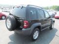 Black Clearcoat - Liberty Sport 4x4 Photo No. 9
