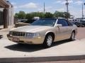 Shale Metallic - Eldorado Touring Coupe Photo No. 17