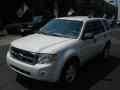 2009 White Suede Ford Escape XLT 4WD  photo #4