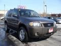 2006 Dark Stone Metallic Ford Escape XLT V6 4WD  photo #3