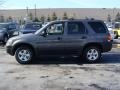 2006 Dark Stone Metallic Ford Escape XLT V6 4WD  photo #8