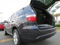 Maximum Steel Metallic - Durango SXT Photo No. 8