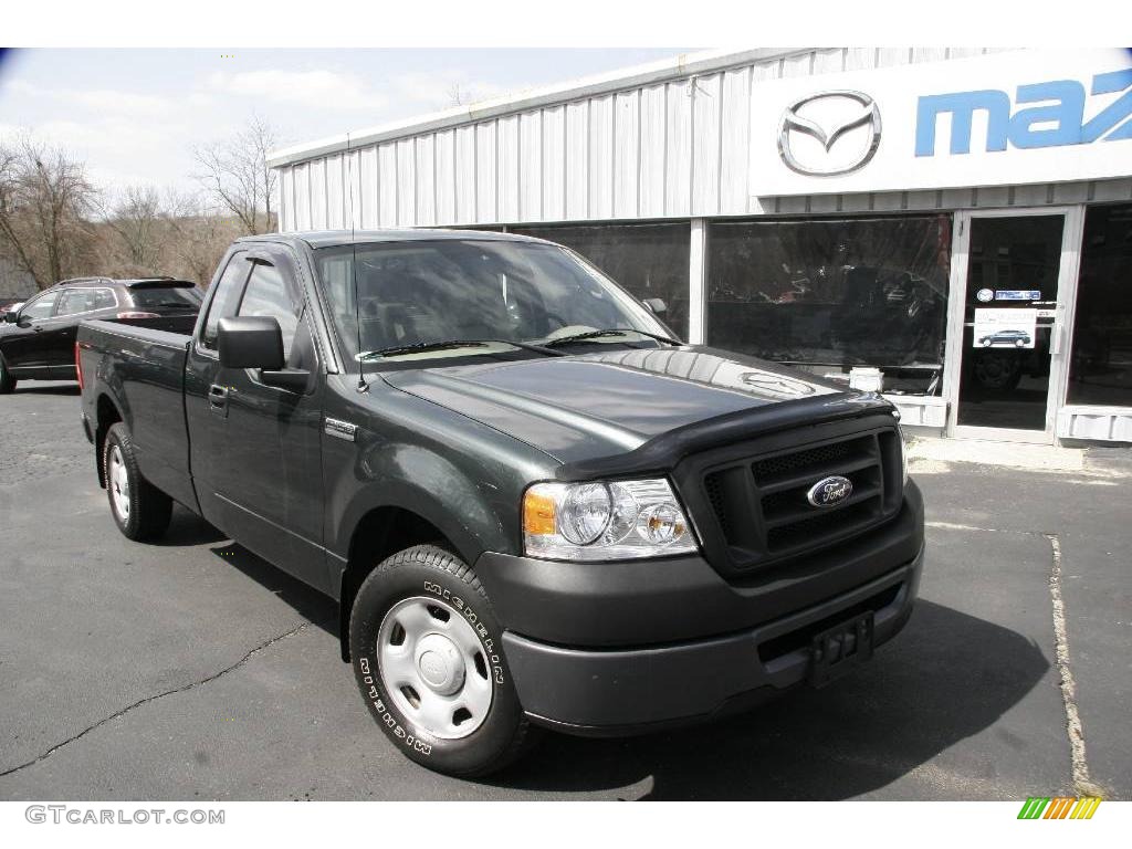 2006 F150 XL Regular Cab - Aspen Green Metallic / Tan photo #3