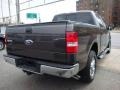 2006 Dark Stone Metallic Ford F150 XLT SuperCrew 4x4  photo #6