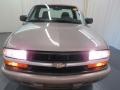 1999 Light Pewter Metallic Chevrolet S10 LS Regular Cab  photo #2