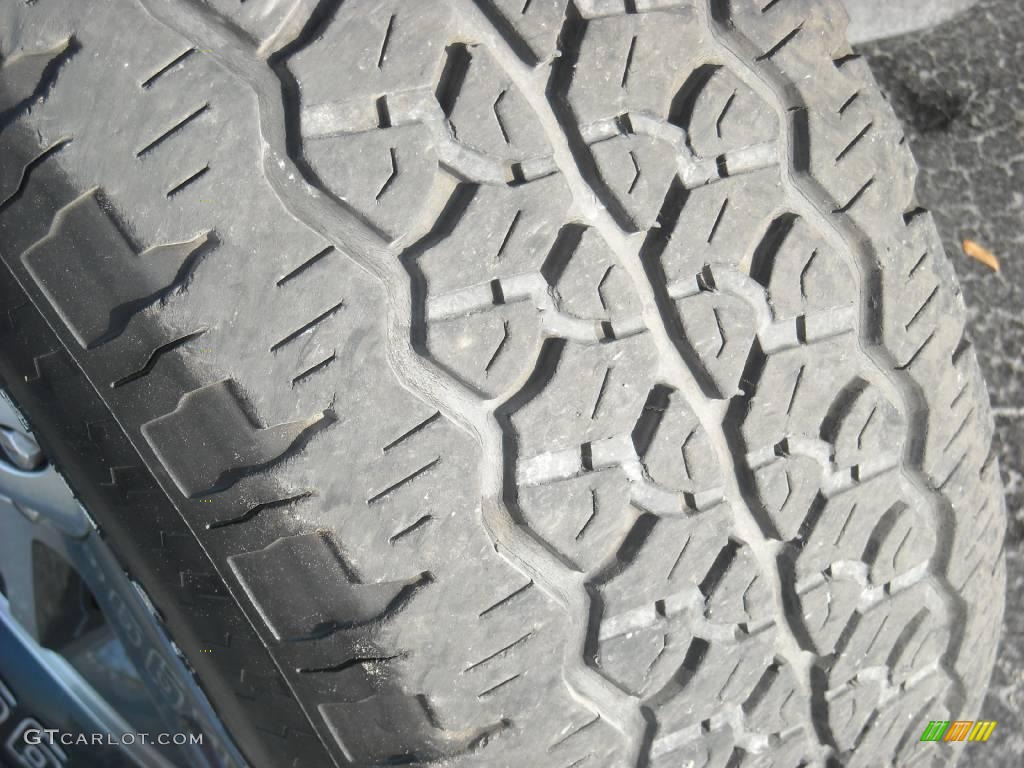 2006 F150 FX4 SuperCrew 4x4 - Oxford White / Black/Medium Flint photo #10