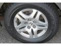 Nimbus Gray Metallic - Odyssey EX-L Photo No. 19