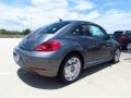 Platinum Gray Metallic - Beetle 2.5L Photo No. 2