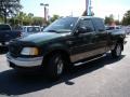 Dark Highland Green Metallic - F150 XLT SuperCab Photo No. 27