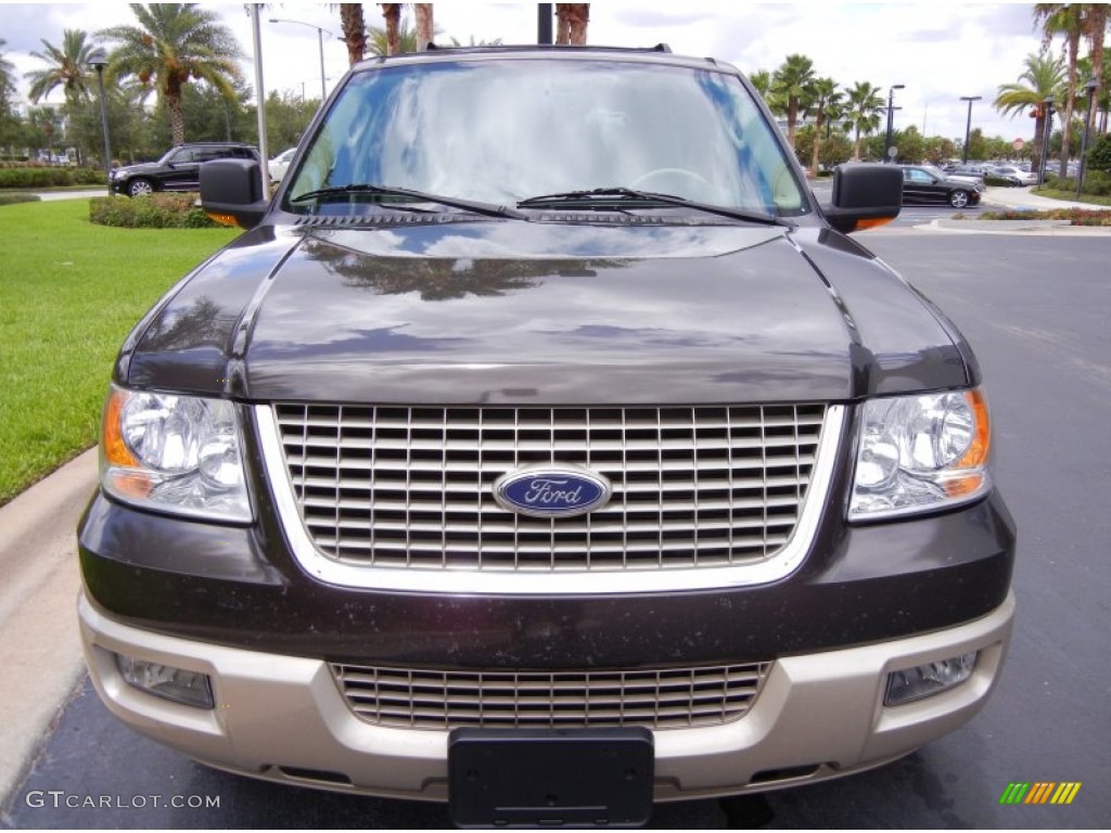 2006 Expedition Eddie Bauer - Dark Stone Metallic / Medium Parchment photo #3