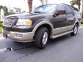 2006 Dark Stone Metallic Ford Expedition Eddie Bauer  photo #28