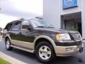 2006 Dark Stone Metallic Ford Expedition Eddie Bauer  photo #30