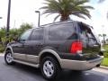 2006 Dark Stone Metallic Ford Expedition Eddie Bauer  photo #34