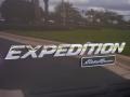 2006 Dark Stone Metallic Ford Expedition Eddie Bauer  photo #35