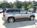 Steel Grey Metallic - Envoy Denali Photo No. 4