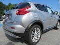 Chrome Silver - Juke SV Photo No. 5