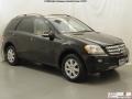 Black - ML 350 4Matic Photo No. 3