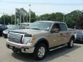 2011 Pale Adobe Metallic Ford F150 XLT SuperCrew 4x4  photo #3