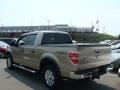 2011 Pale Adobe Metallic Ford F150 XLT SuperCrew 4x4  photo #4