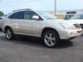 Savannah Beige Metallic - RX 400h AWD Hybrid Photo No. 2
