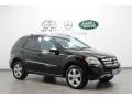 Black - ML 350 4Matic Photo No. 1