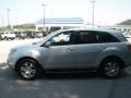 Billet Silver Metallic - MDX  Photo No. 10