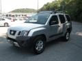 Silver Lightning - Xterra S Photo No. 11