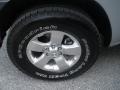 Silver Lightning - Xterra S Photo No. 15