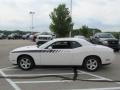 2009 Stone White Dodge Challenger SE  photo #6