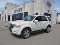2010 White Suede Ford Escape Limited 4WD  photo #1