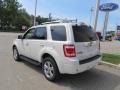 2010 White Suede Ford Escape Limited 4WD  photo #3