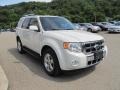 White Suede 2010 Ford Escape Limited 4WD Exterior