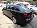 Smoky Granite Mica - IS 250 AWD Photo No. 2