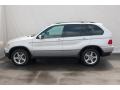 Titanium Silver Metallic - X5 3.0i Photo No. 8