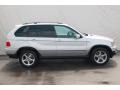 Titanium Silver Metallic - X5 3.0i Photo No. 10