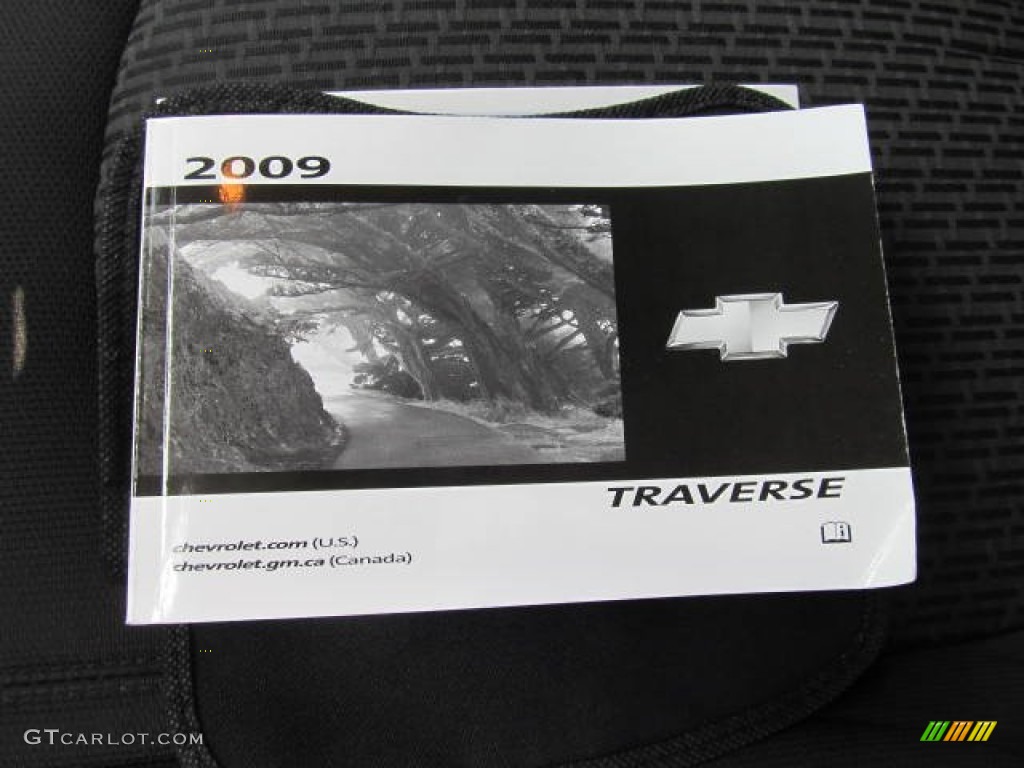 2009 Traverse LT AWD - Cyber Gray Metallic / Ebony photo #19