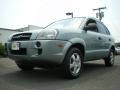 2007 Desert Sage Metallic Hyundai Tucson GLS #67012079