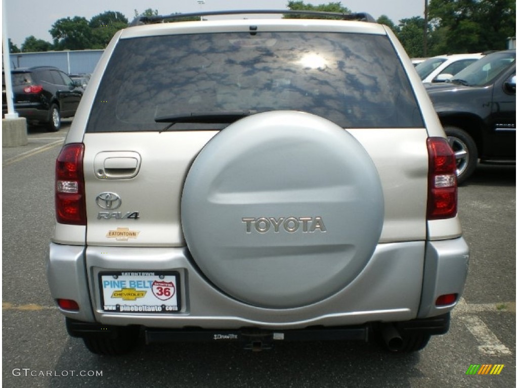 2004 RAV4  - Savannah Beige Metallic / Taupe photo #6