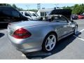 2009 Palladium Silver Metallic Mercedes-Benz SL 550 Roadster  photo #8