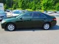  2010 Camry LE Spruce Mica