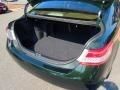 Bisque Trunk Photo for 2010 Toyota Camry #67069386