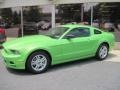 2013 Gotta Have It Green Ford Mustang V6 Coupe  photo #1